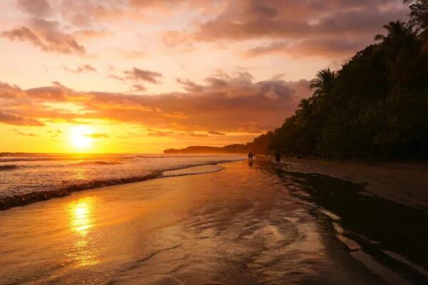 Best Places to Visit in Costa Rica: Top 5 Destinations 2024