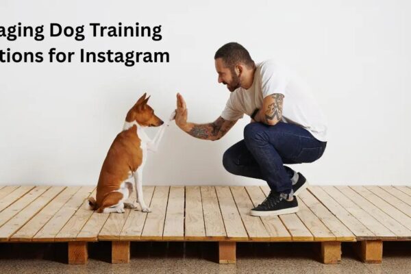 Dog Training Captions for Instagram: 75+ Best Examples (2024)