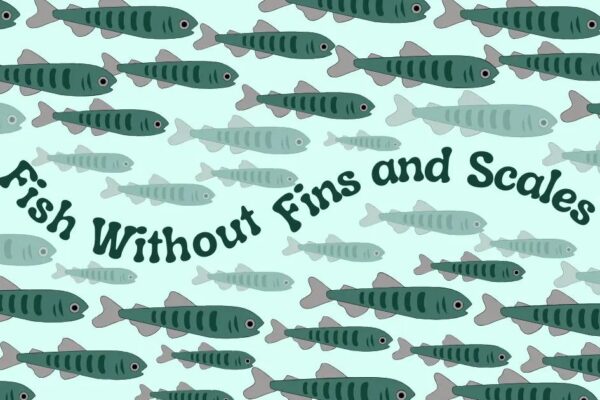 Fish Without Fins and Scales List: Safe to Eat Guide