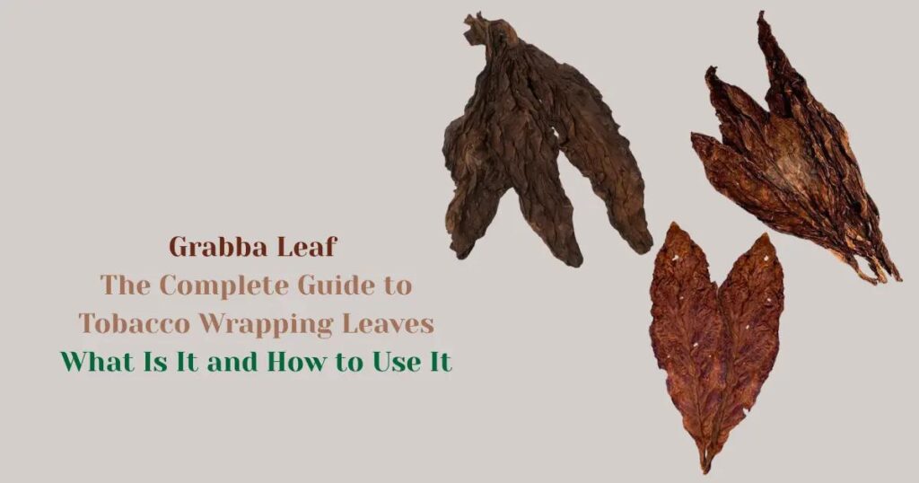 Grabba Leaf Guide: Origins, Types & How to Use It Properly