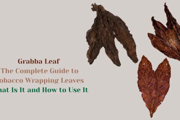 Grabba Leaf Guide: Origins, Types & How to Use It Properly