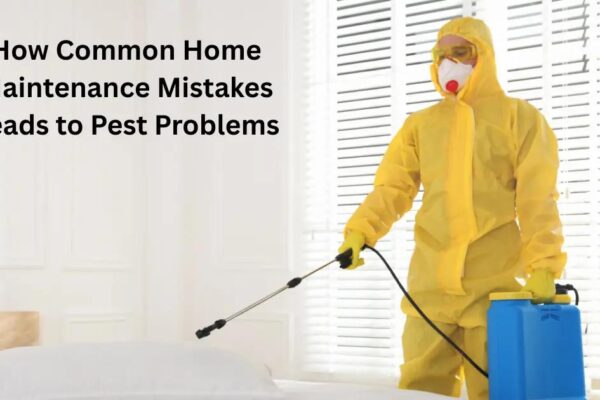 Home Maintenance Mistakes That Cause Pest Problems (Fix Now)