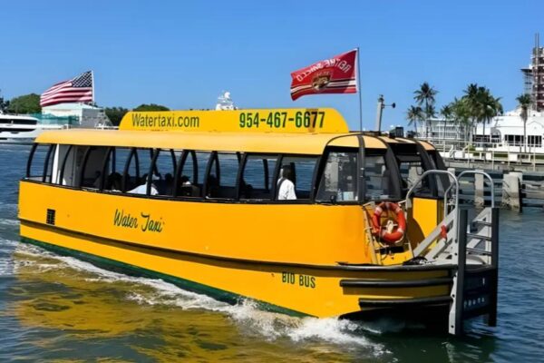 Water Taxi Market 2025: Sustainable Growth Forecast & Trends