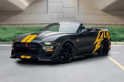 Best Private Tours in Dubai: Luxury City & Desert Experiences