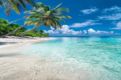 Best Time to Visit Canc&uacute;n: Weather, Seaweed & Crowds (2026)